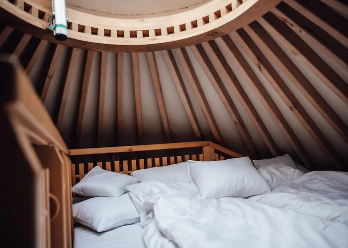 Campo de lujo Slow Flow Glamp *